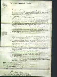 Court of Common Pleas - Frances Dickson-Original Ancestry