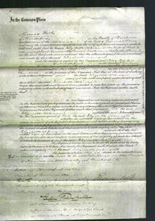 Court of Common Pleas - Elizabeth Atkinson-Original Ancestry