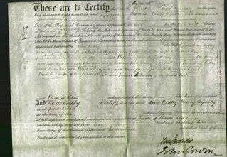 Deed by Married Women - Ann Ridley, Mary Aynsley and Jane Lamb-Original Ancestry