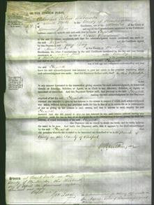 Court of Common Pleas - Elizabeth Beardmore-Original Ancestry