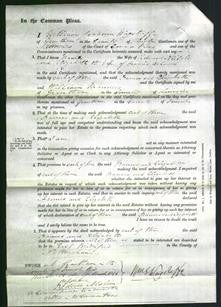 Court of Common Pleas - Frances Nichols and Elizabeth Allwood-Original Ancestry