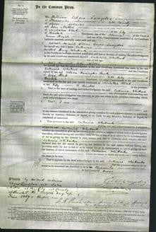 Court of Common Pleas - Catherine Whittard-Original Ancestry