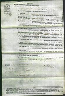 Court of Common Pleas - Emily Gamble-Original Ancestry