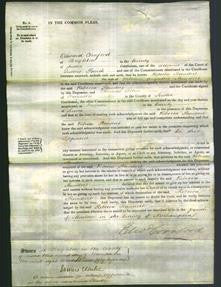 Court of Common Pleas - Rebecca Standert-Original Ancestry