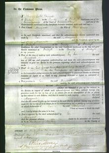 Court of Common Pleas - Margaret Jones-Original Ancestry