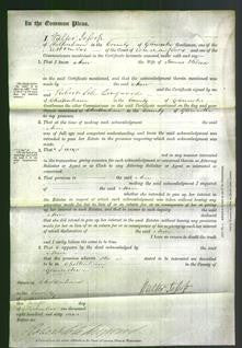 Court of Common Pleas - Ann Wilcox-Original Ancestry