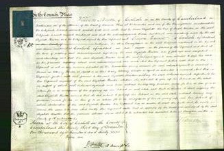 Court of Common Pleas - Elizabeth Railton-Original Ancestry