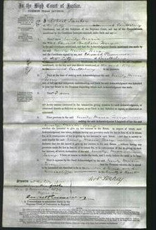 Court of Common Pleas - Emily Maria Terry-Original Ancestry