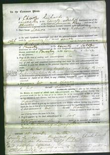 Court of Common Pleas - Laura Penen-Original Ancestry