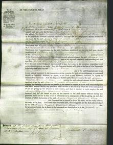 Court of Common Pleas - Louisa Elizabeth Bruderrell Bruce-Original Ancestry