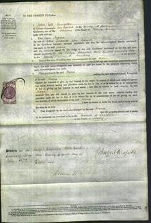 Court of Common Pleas - Maria Ottewill-Original Ancestry