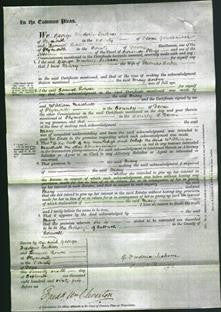 Court of Common Pleas - Mary Corber-Original Ancestry