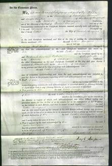 Court of Common Pleas - Esther Morgans-Original Ancestry