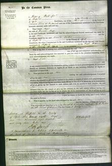 Court of Common Pleas - Anne Payne-Original Ancestry