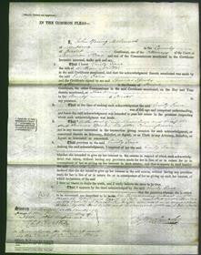 Court of Common Pleas - Emily Jane Miller-Original Ancestry