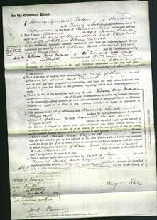 Court of Common Pleas - Harriet Pearce, Sarah White, Elizabeth Bullock-Original Ancestry