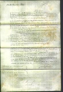 Court of Common Pleas - Sarah Kew-Original Ancestry