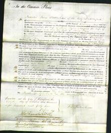 Court of Common Pleas - Elizabeth Taylor, Margaret Prichard and Ann Price-Original Ancestry