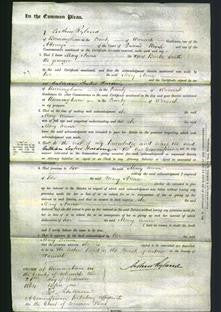 Court of Common Pleas - Mary Anna Smith-Original Ancestry