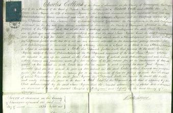 Court of Common Pleas - Jane Bynon-Original Ancestry