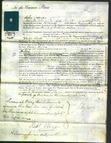 Court of Common Pleas - Susan Arbon-Original Ancestry