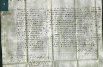 Court of Common Pleas - Sarah Wild-Original Ancestry