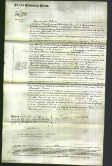 Court of Common Pleas - Harriet Niven-Original Ancestry