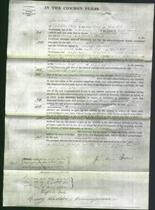 Court of Common Pleas - Mary Larrance Ridd-Original Ancestry