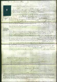 Court of Common Pleas - Harriet Hackford-Original Ancestry