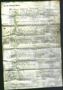 Court of Common Pleas - Jane Winifred Atherton-Original Ancestry