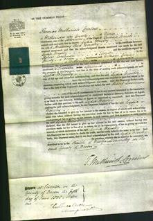 Court of Common Pleas - Lydia Hensley-Original Ancestry