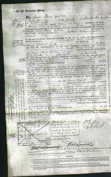 Court of Common Pleas - Annie Mayaffre Shanks-Original Ancestry