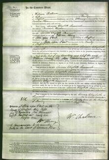 Court of Common Pleas - Lavinia Elizabeth Susannah Warner-Original Ancestry