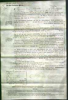 Court of Common Pleas - Sarah Jarrett, Sophia Shepard-Original Ancestry