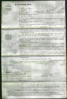 Court of Common Pleas - Letitia Elam-Original Ancestry