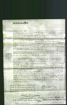 Court of Common Pleas - Elizabeth Clifford-Original Ancestry
