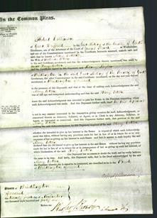 Court of Common Pleas - Mary Cotton-Original Ancestry