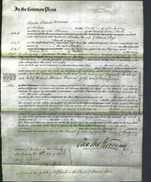 Court of Common Pleas - Martha Lloyd-Original Ancestry