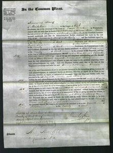 Court of Common Pleas - Elizabeth Moon, Dorcas Hayesmer and Mercy Moon-Original Ancestry