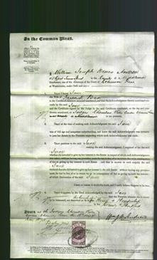 Court of Common Pleas - Jane Bax-Original Ancestry