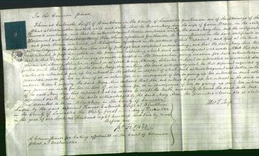 Court of Common Pleas - Mary Ann Brown-Original Ancestry