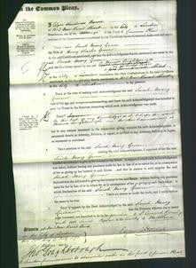 Court of Common Pleas - Sarah Mary Green-Original Ancestry