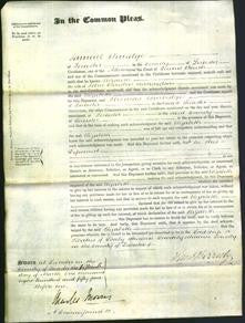 Court of Common Pleas - Elizabeth Richardson-Original Ancestry