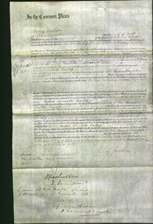 Court of Common Pleas - Charlotte Bartliff-Original Ancestry