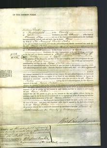 Court of Common Pleas - Agnes Packer-Original Ancestry