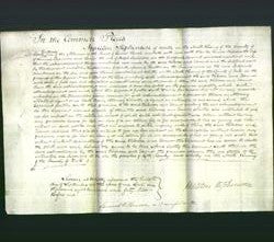 Court of Common Pleas - Rebecca Campion and Eleanor Campion-Original Ancestry