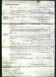 Court of Common Pleas - Ellen Ballard-Original Ancestry