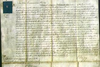 Court of Common Pleas - Mary Robinson-Original Ancestry