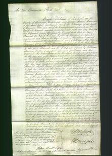 Court of Common Pleas - Hannah Myrtle-Original Ancestry