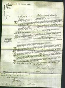 Court of Common Pleas - Elizabeth Hedges, Anne Hemmings and Mary Harris-Original Ancestry